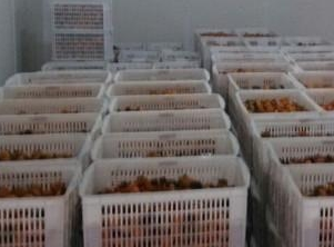 保鮮庫和冷凍庫的區別。